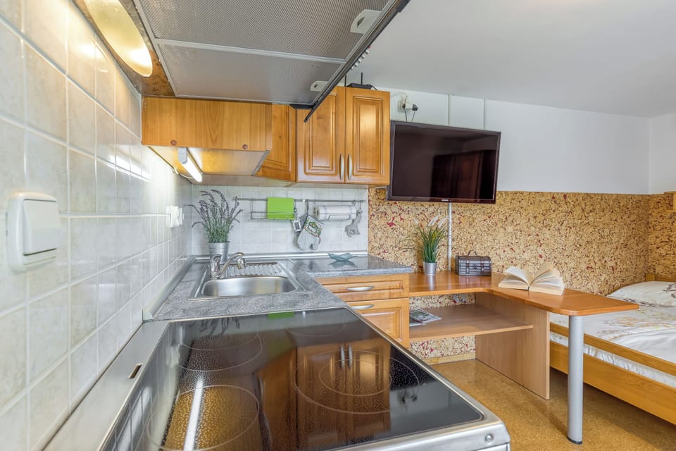 Family Studio, Mountain View (River View Suite Mlinar private beach) | Private kitchen | Fridge, oven, stovetop, electric kettle