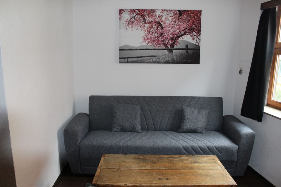 Triple Room | Living area | 45-inch TV with satellite channels