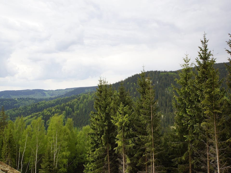 Region [summer] (>5 km)