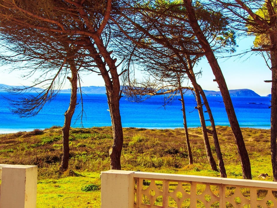 Surroundings [summer] (1-5 km)