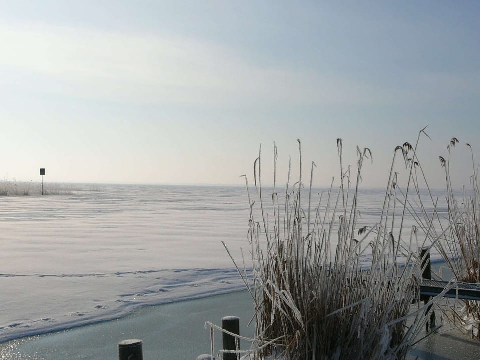 View from Holiday Home [winter]
