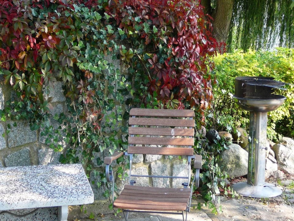 Garden [summer]