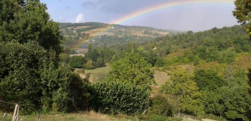 Surroundings [summer] (1-5 km)