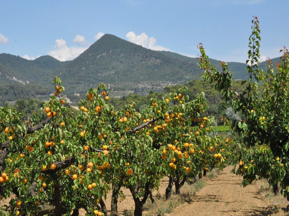 Surroundings [summer] (1-5 km)