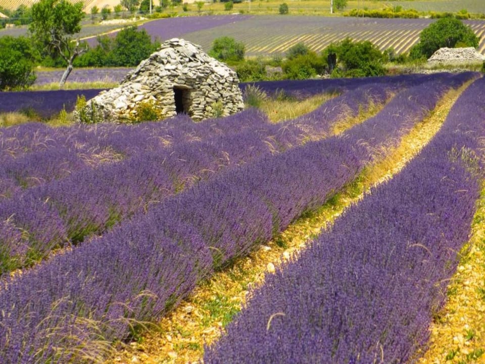 Surroundings [summer] (1-5 km)
