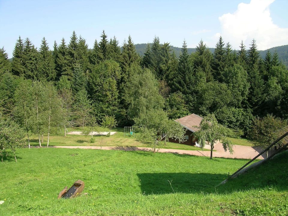 Garden [summer]