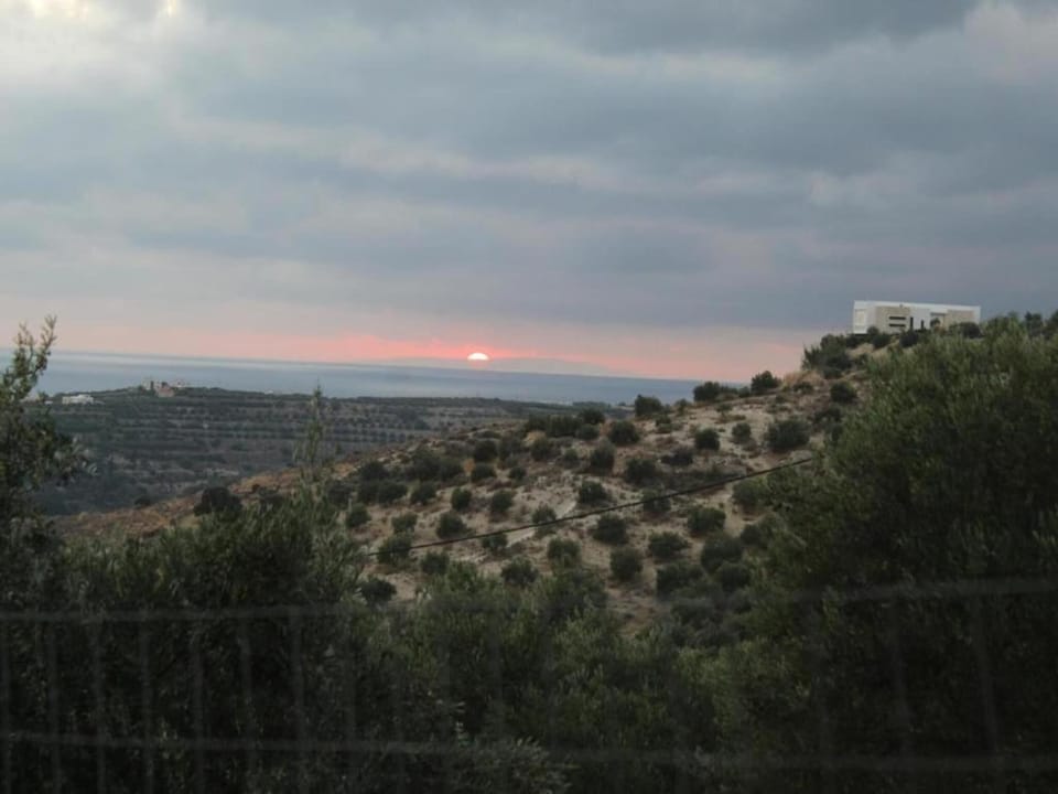 Region [summer] (>5 km)