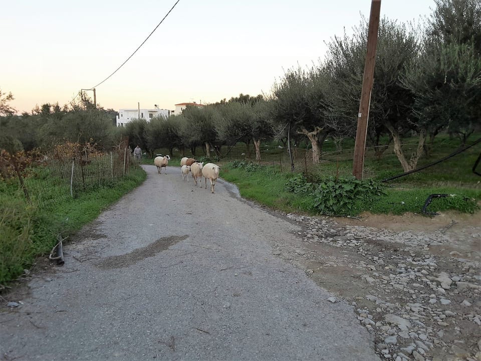 Immediate Surroundings [summer] (<1 km)