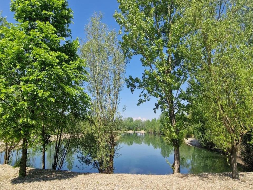 Region [summer] (>5 km)