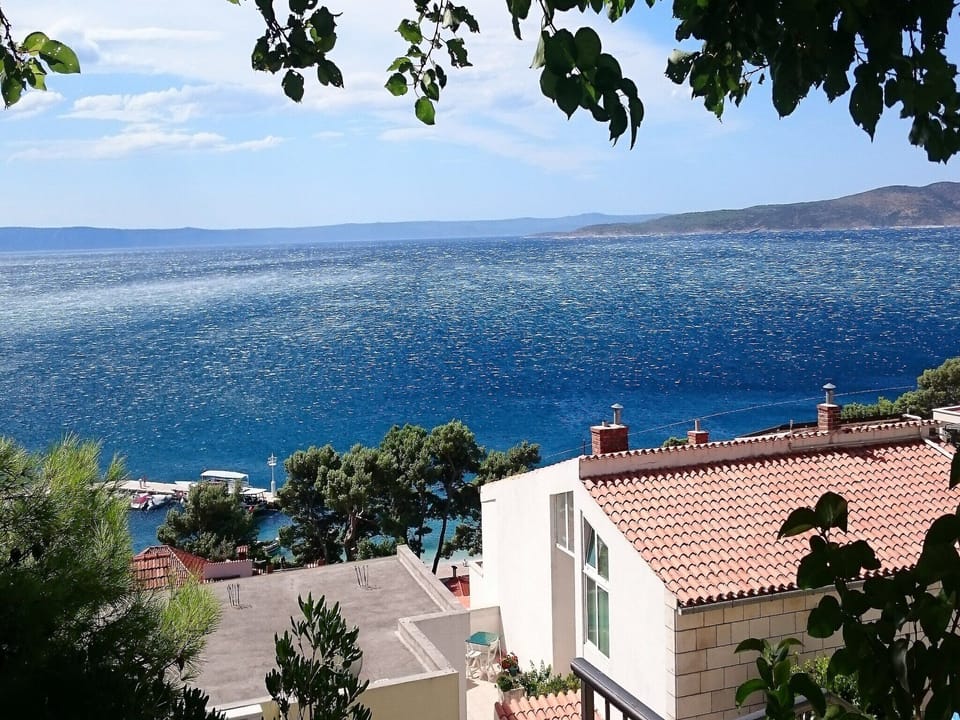 View from Holiday Home [summer]