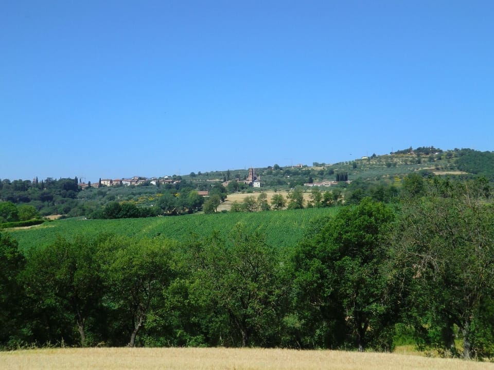 Immediate Surroundings [summer] (<1 km)