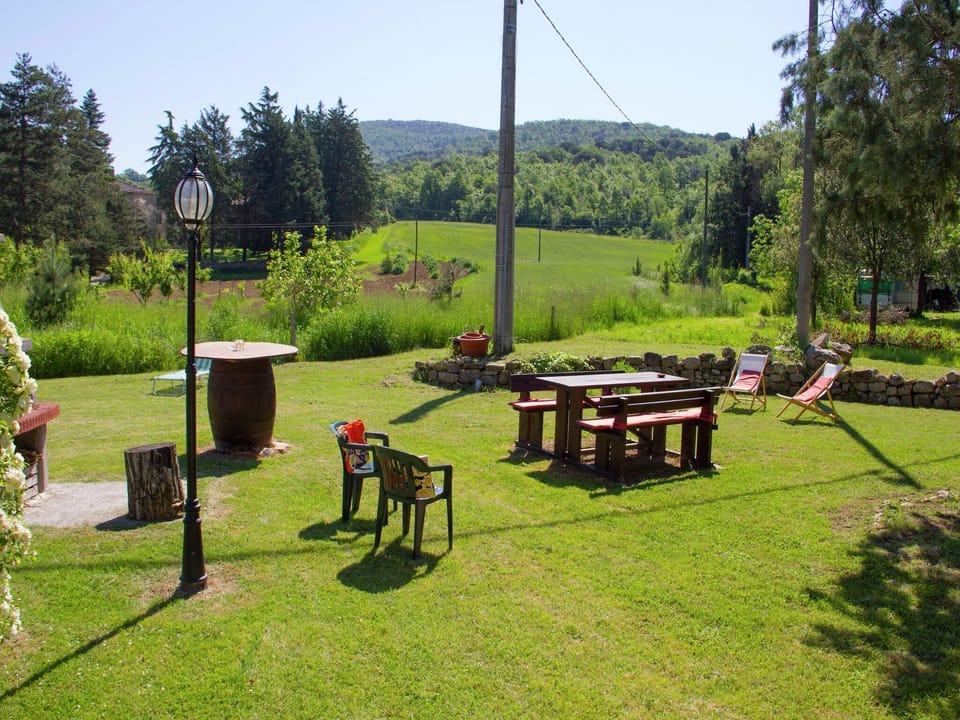 Garden [summer]