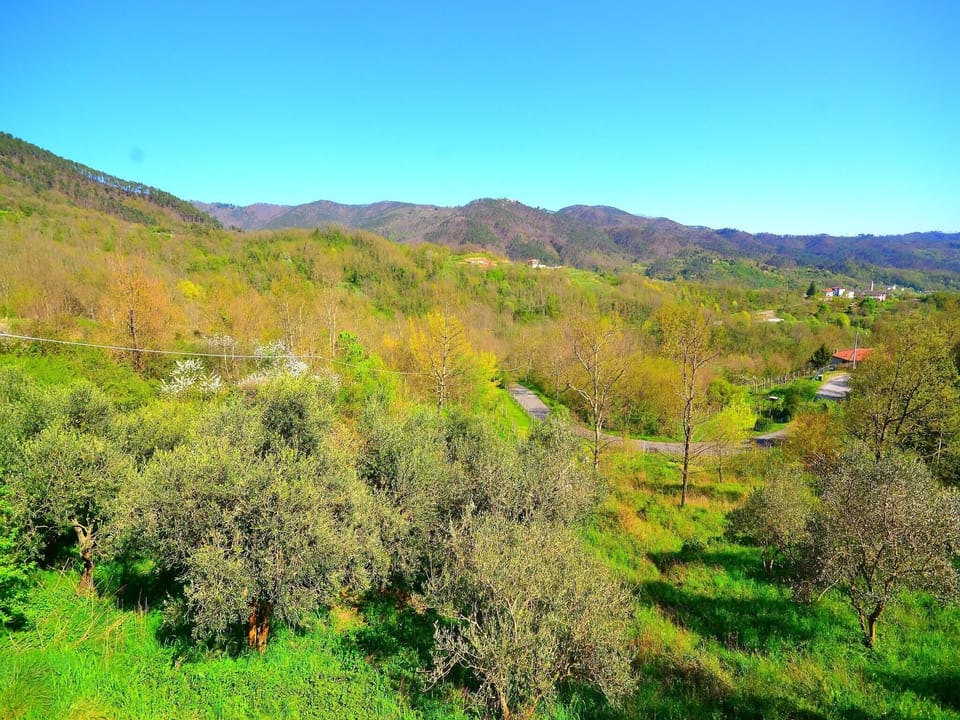 View from Holiday Home [summer]
