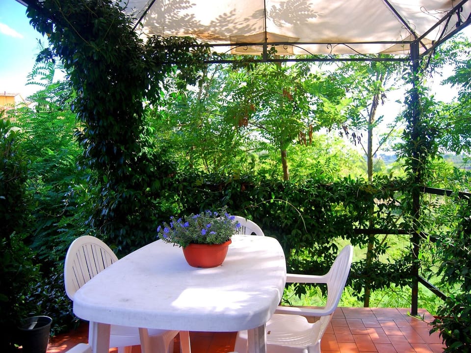 Patio / Balcony