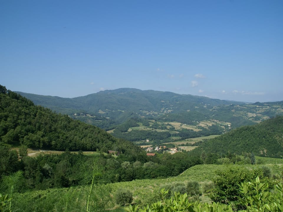 Surroundings [summer] (1-5 km)