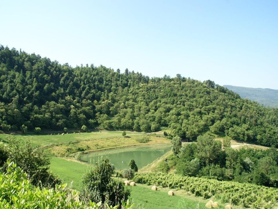 Region [summer] (>5 km)