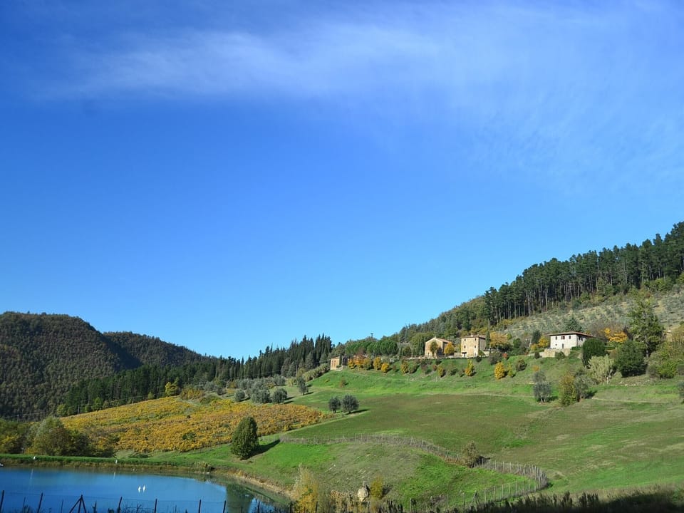 View from Holiday Home [summer]