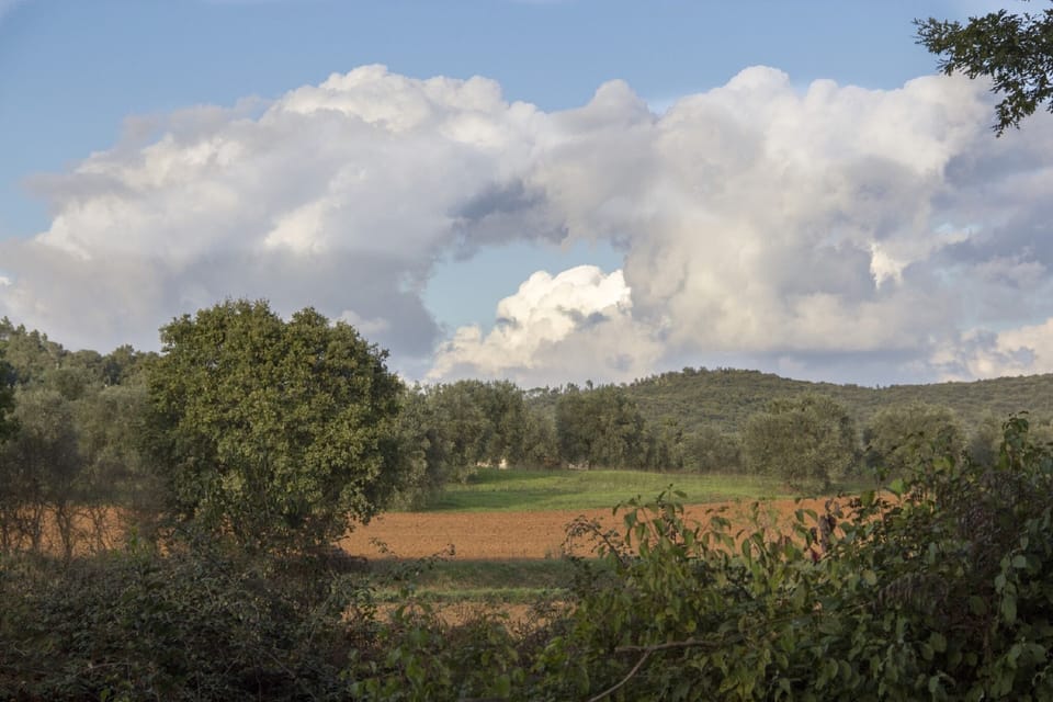 View from Holiday Home [summer]