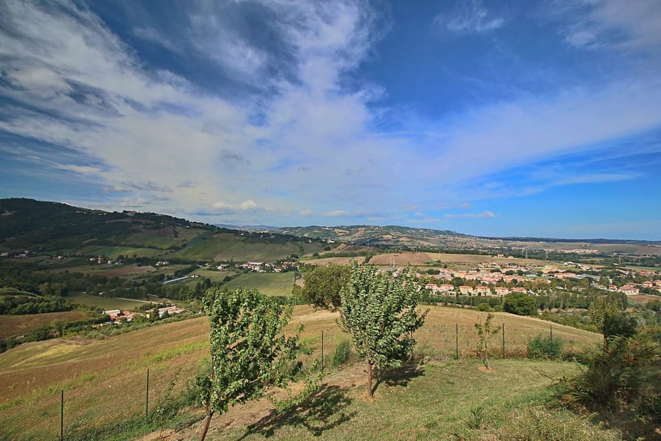 View from Holiday Home [summer]