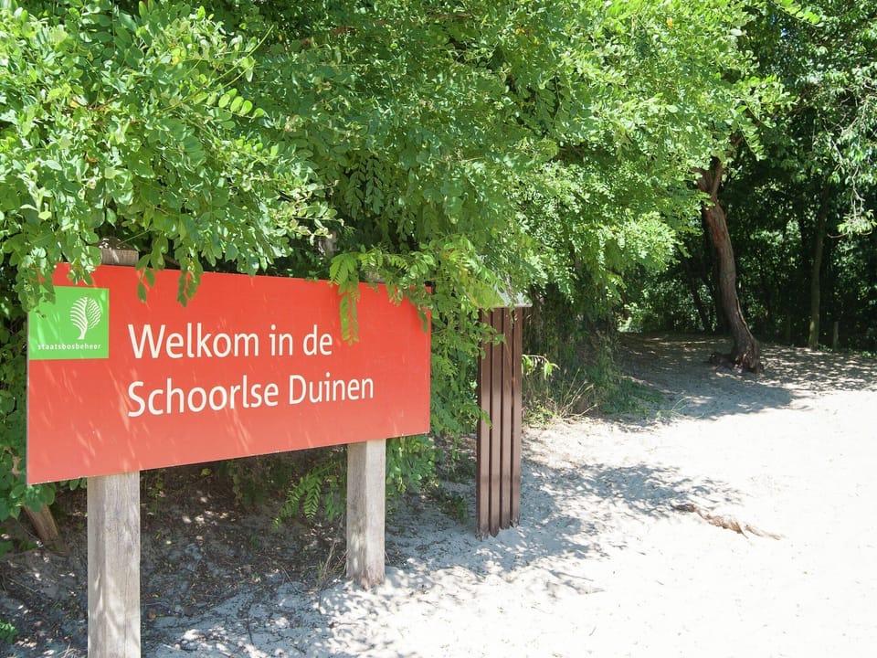 Region [summer] (>5 km)