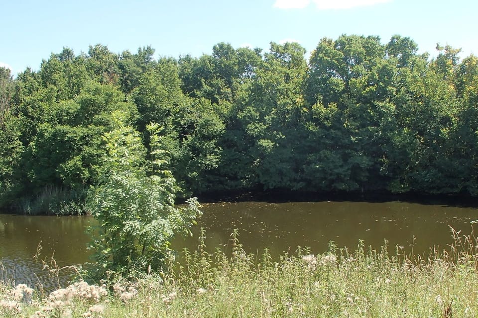 Surroundings [summer] (1-5 km)