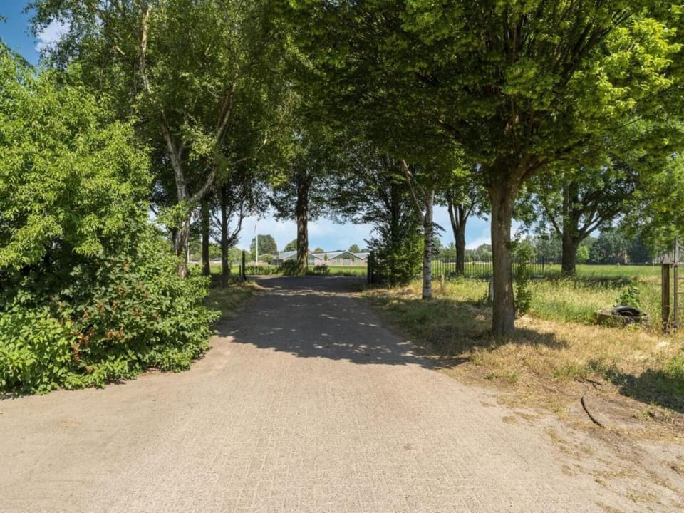 Region [summer] (>5 km)
