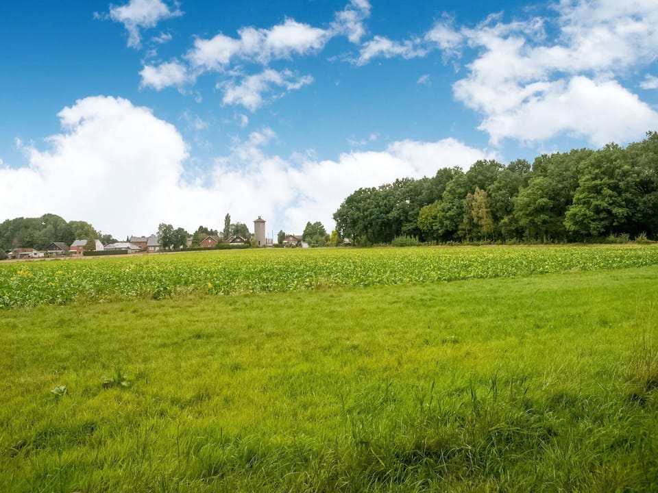Immediate Surroundings [summer] (<1 km)
