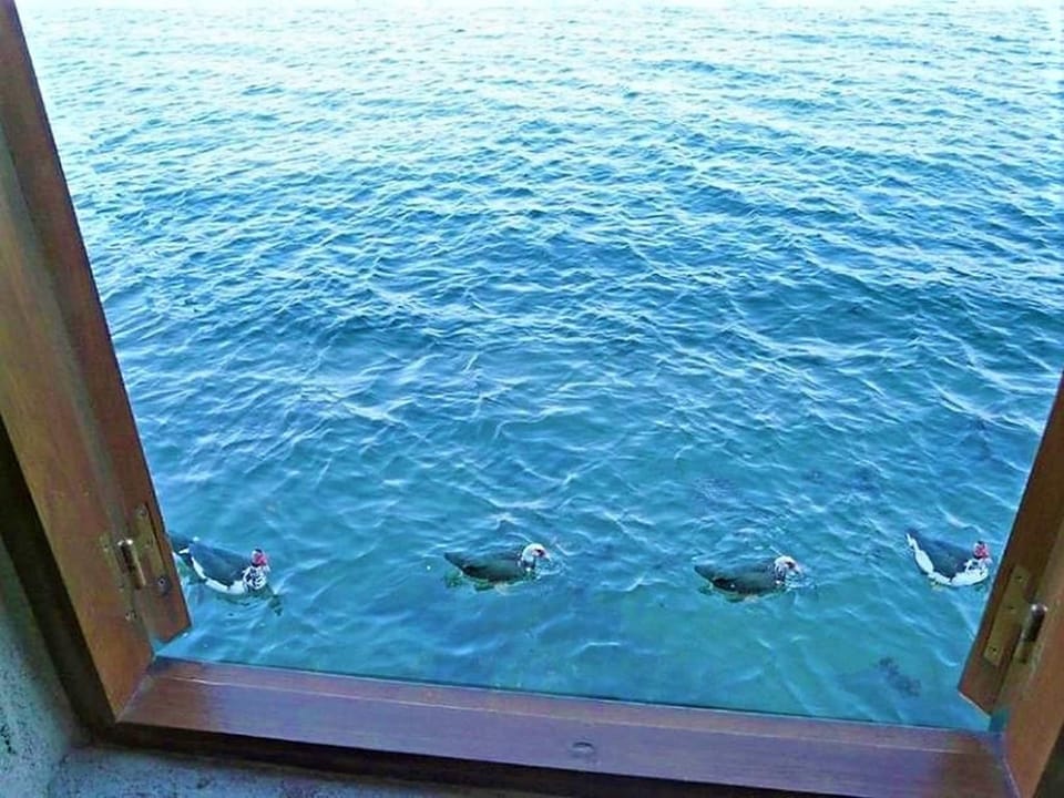 View from Holiday Home [summer]