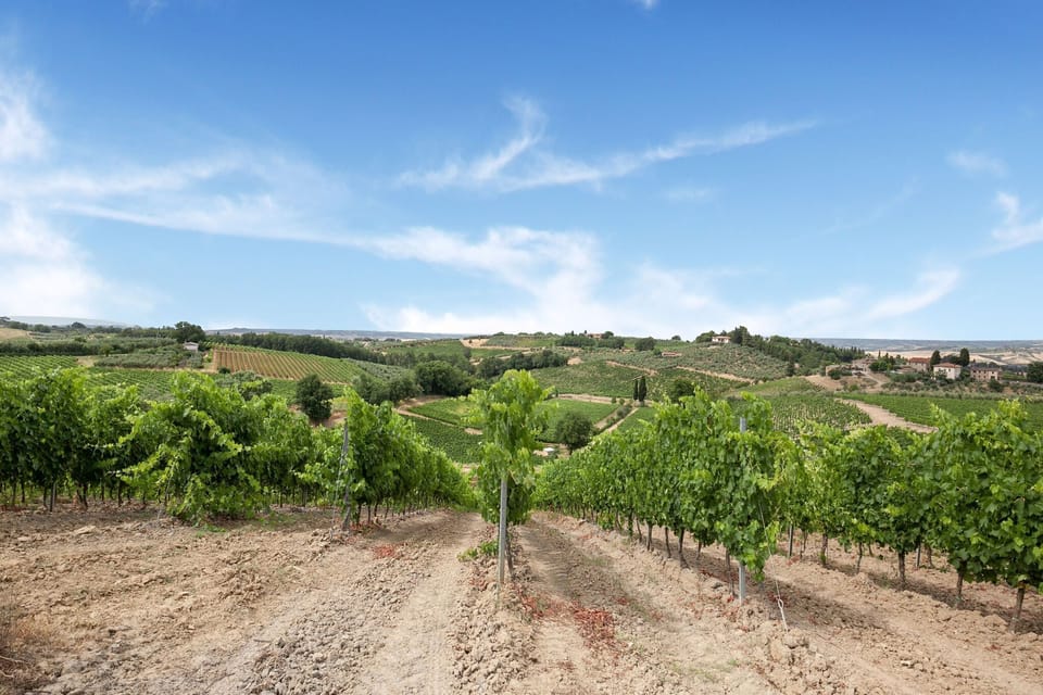Surroundings [summer] (1-5 km)