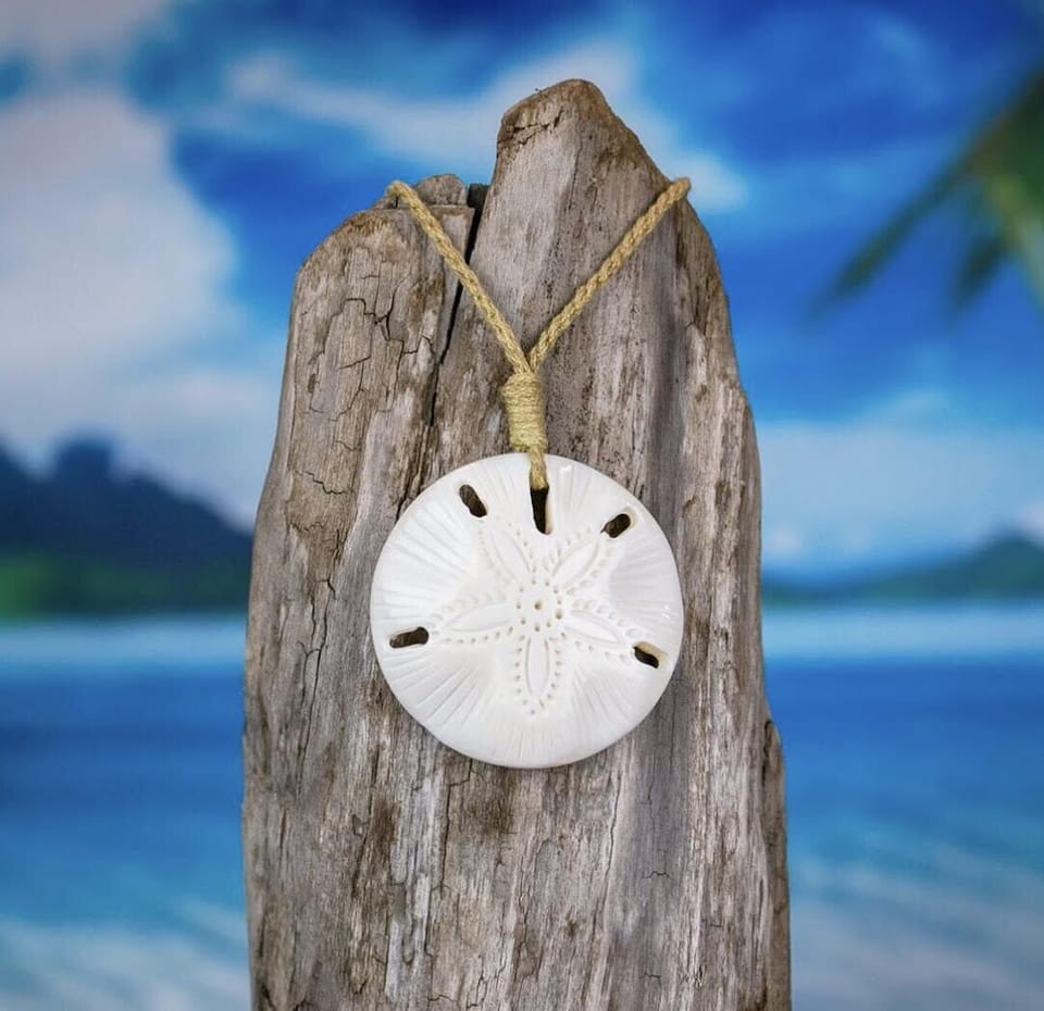 Welcome to the Beautiful "Sand Dollar"