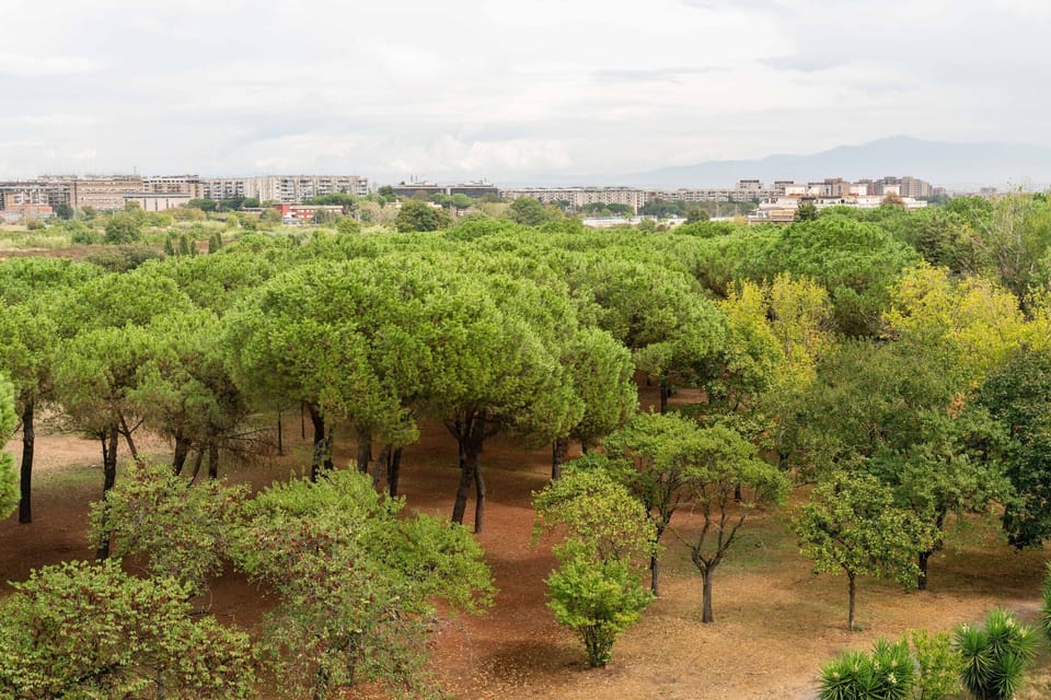 Immediate Surroundings [summer] (<1 km)