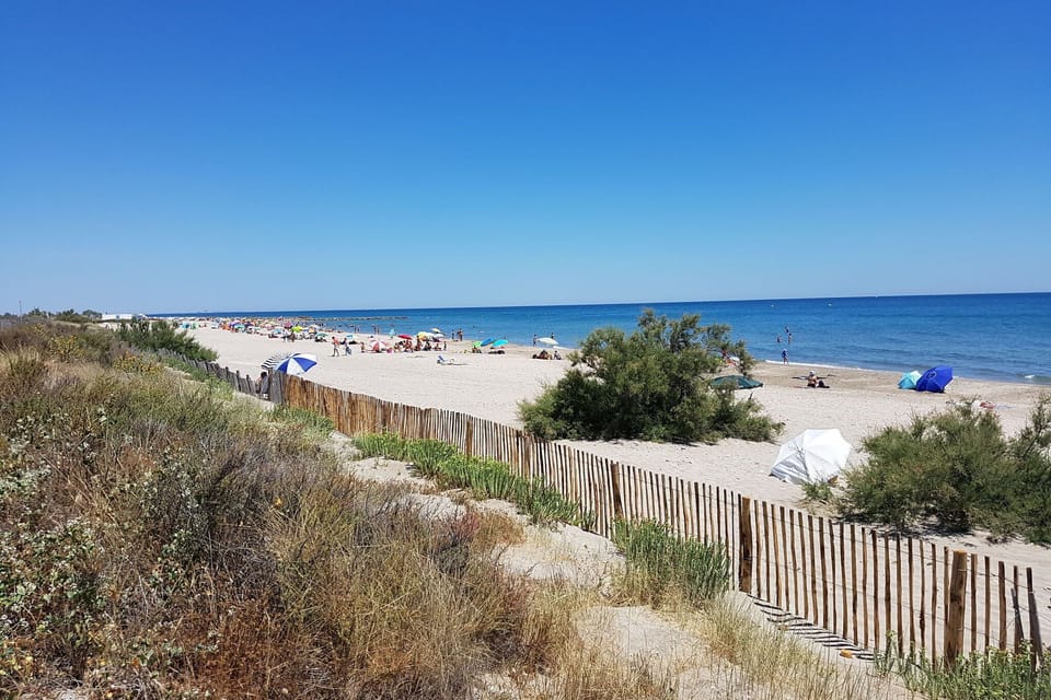 Region [summer] (>5 km)