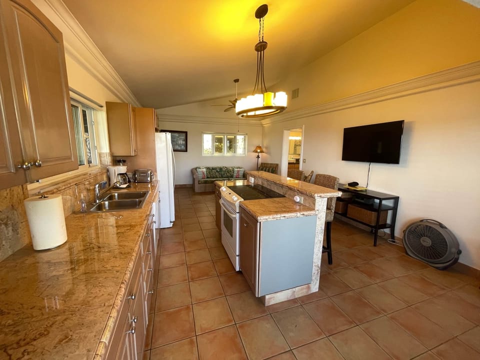 Kitchen and living space