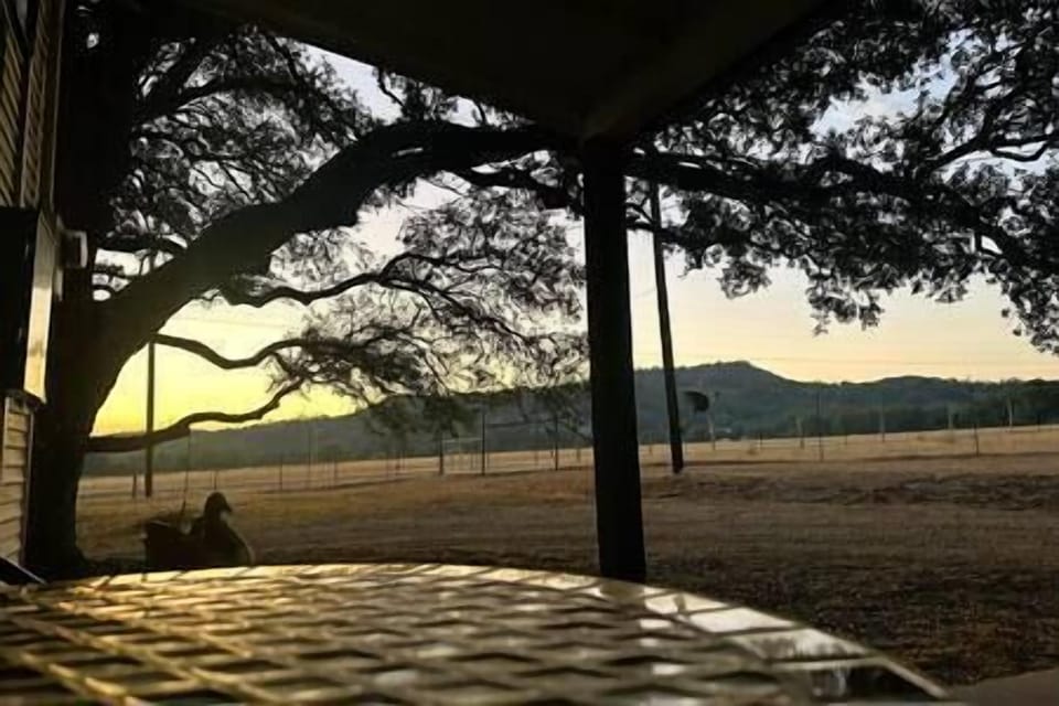 Start your day with a cup of coffee on the porch and watch the sunrise and neighboring farm animals.