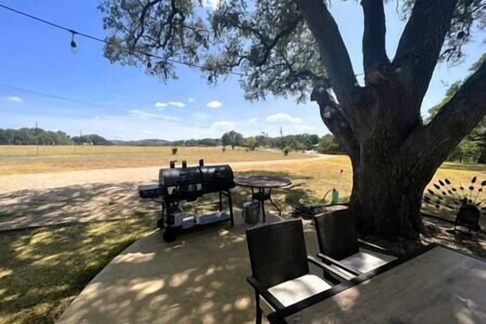 Charcoal & Propane grill on the patio