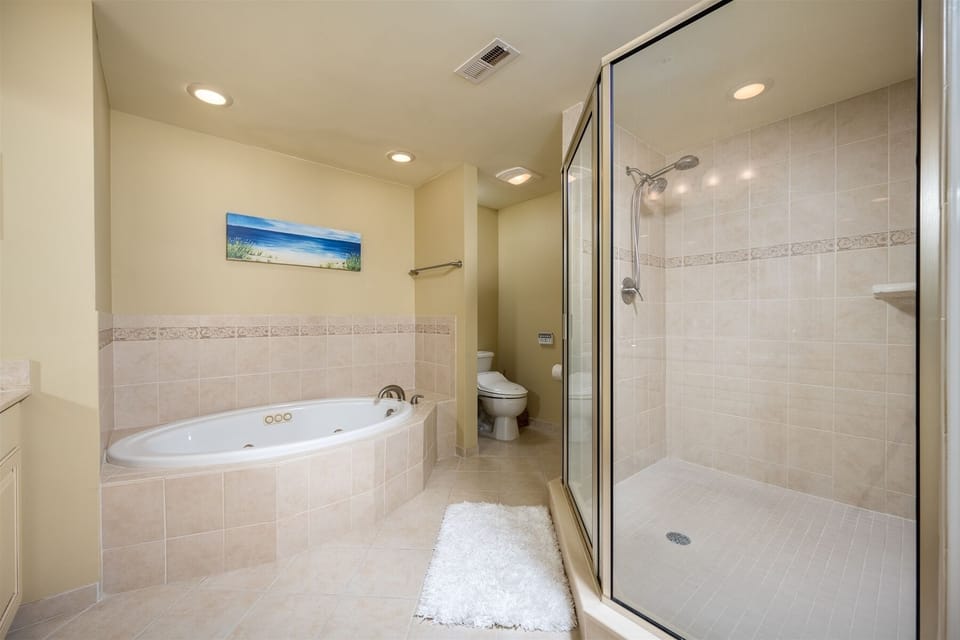 Master Bathroom w/ Separate Shower