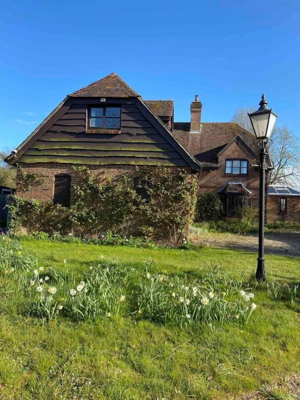 Image 20