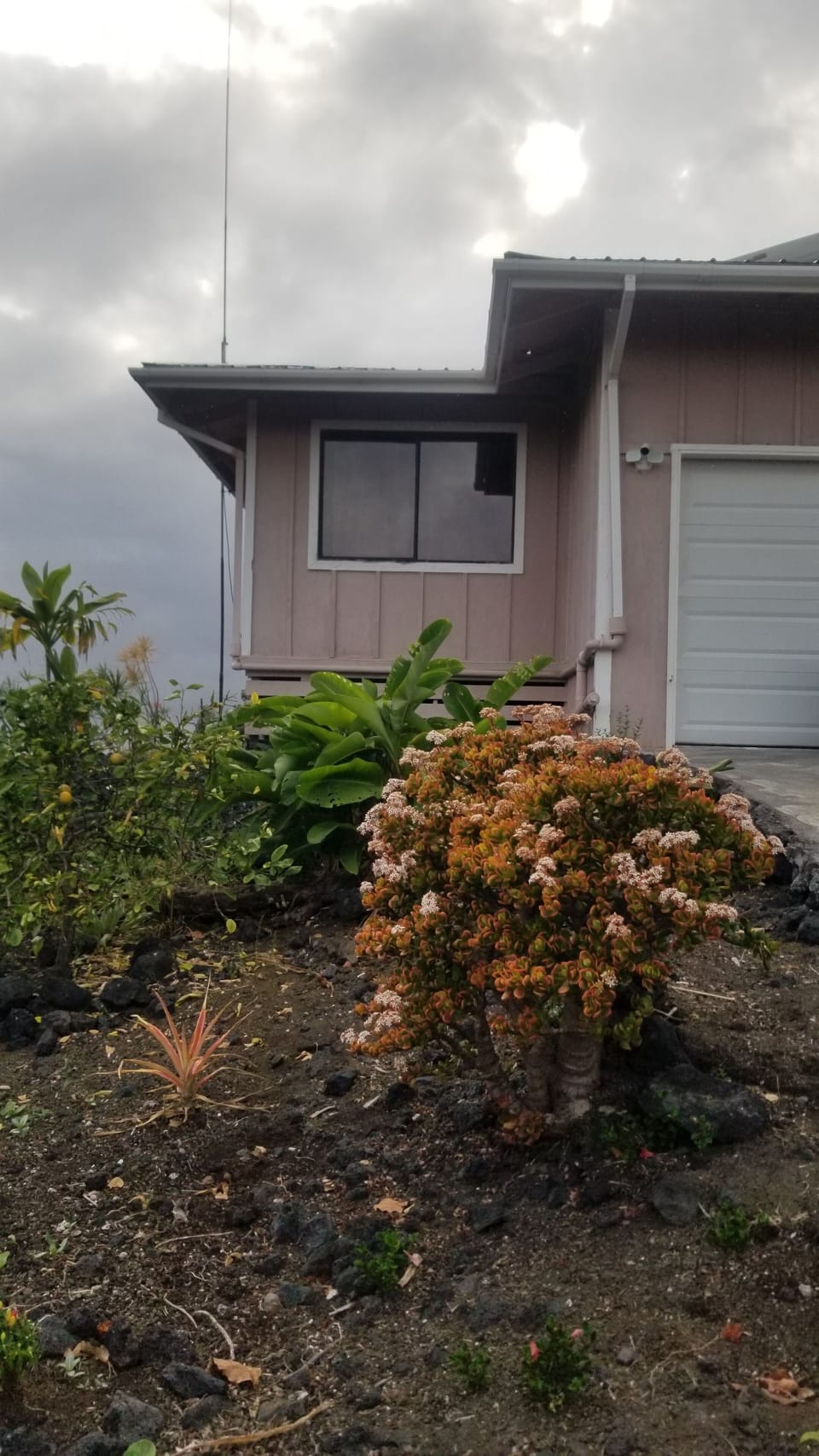 flowers and fruits growing on 1 acre.