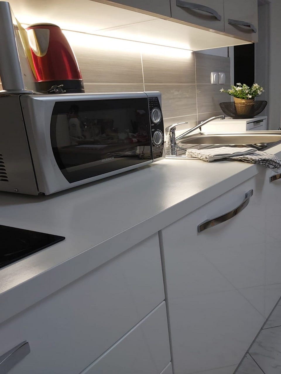 Apartment (One bedroom apartment) | Private kitchen | Fridge