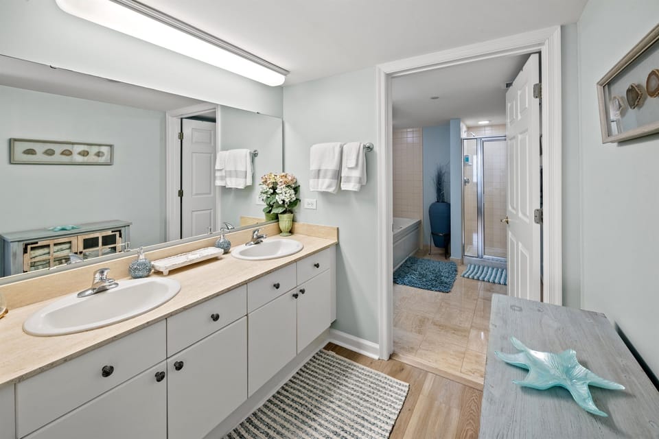 Main Bathroom with double sinks