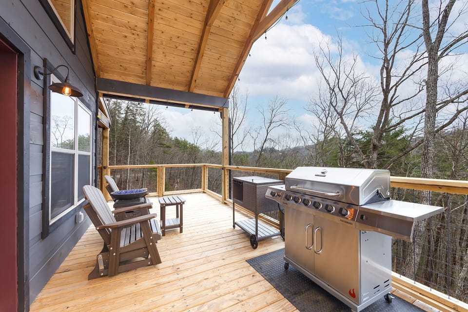 Gas Grill