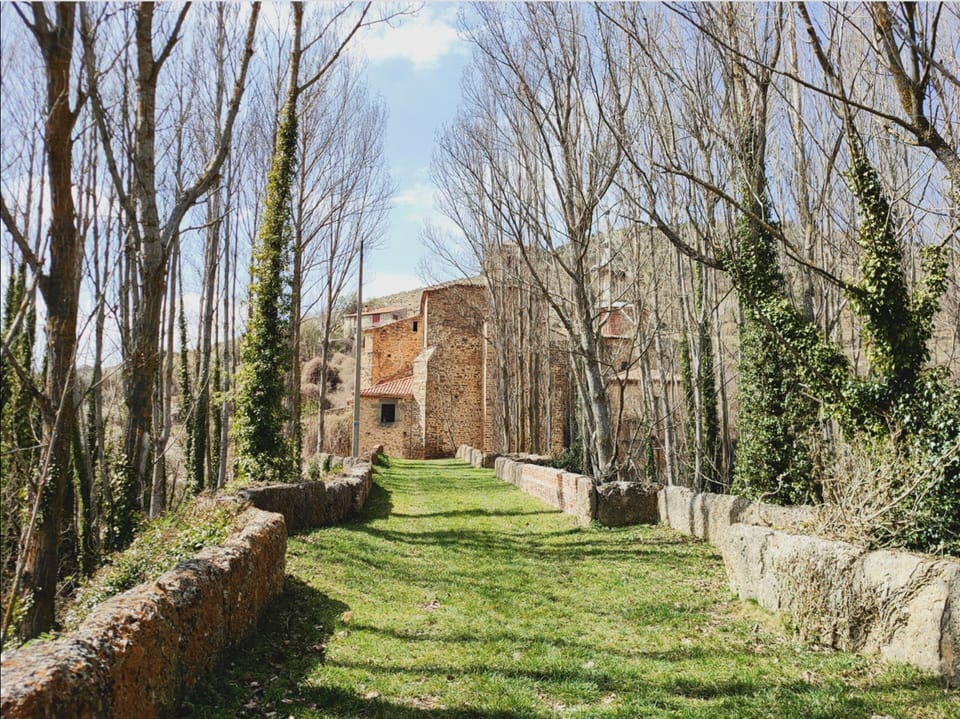 Ecotours