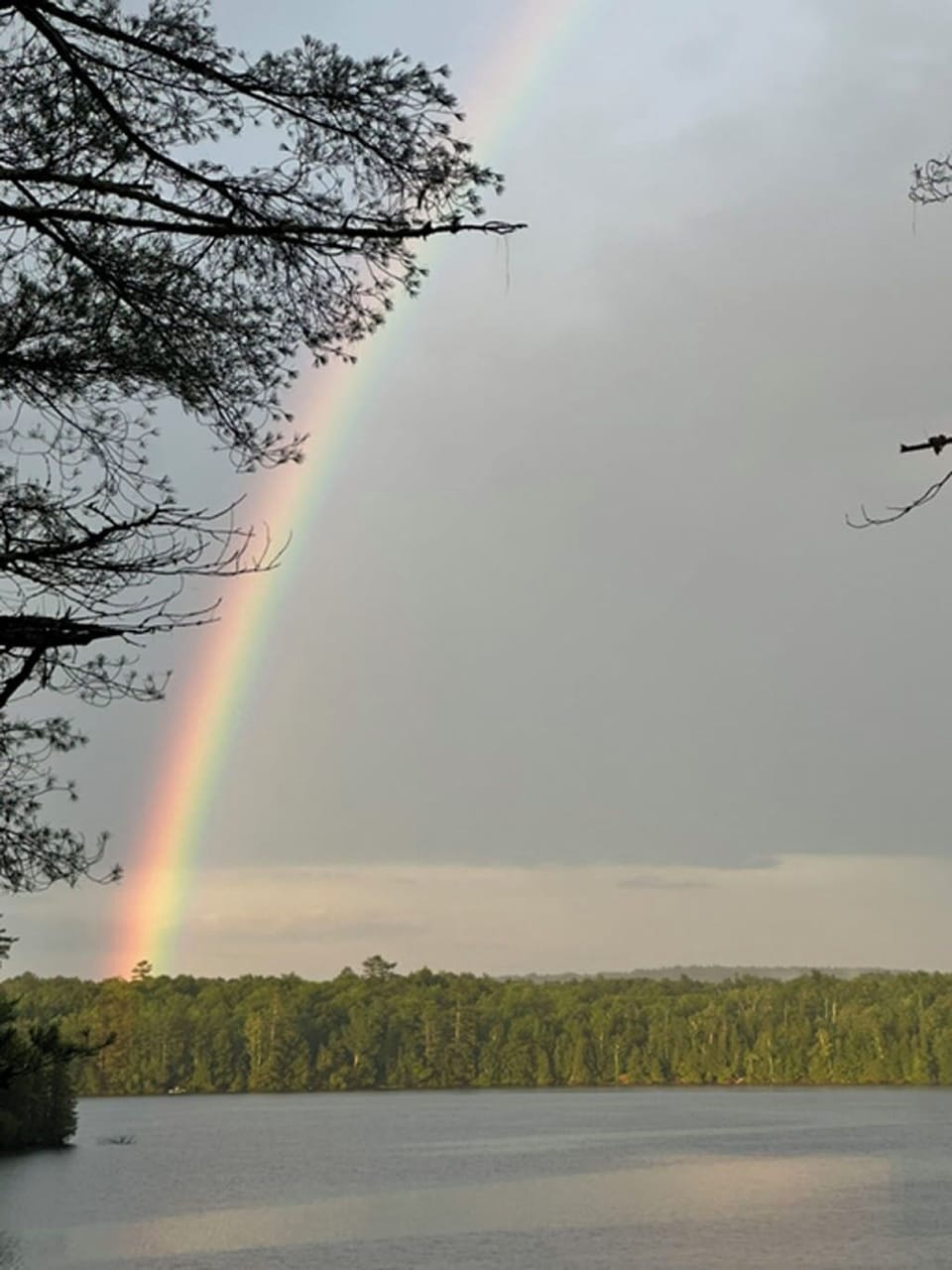 Rainbow
