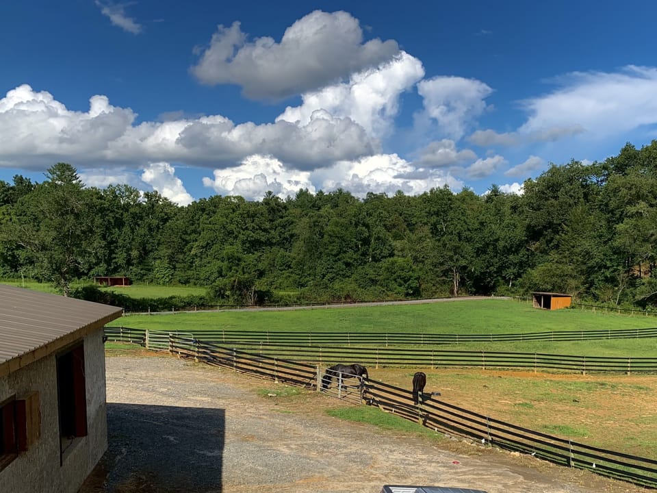 Pastures
