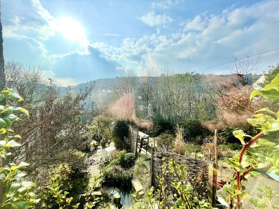 View from window. 
