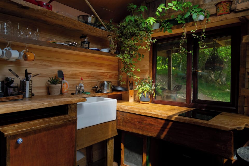 Cabin | Private kitchen | Fridge, microwave, stovetop, electric kettle