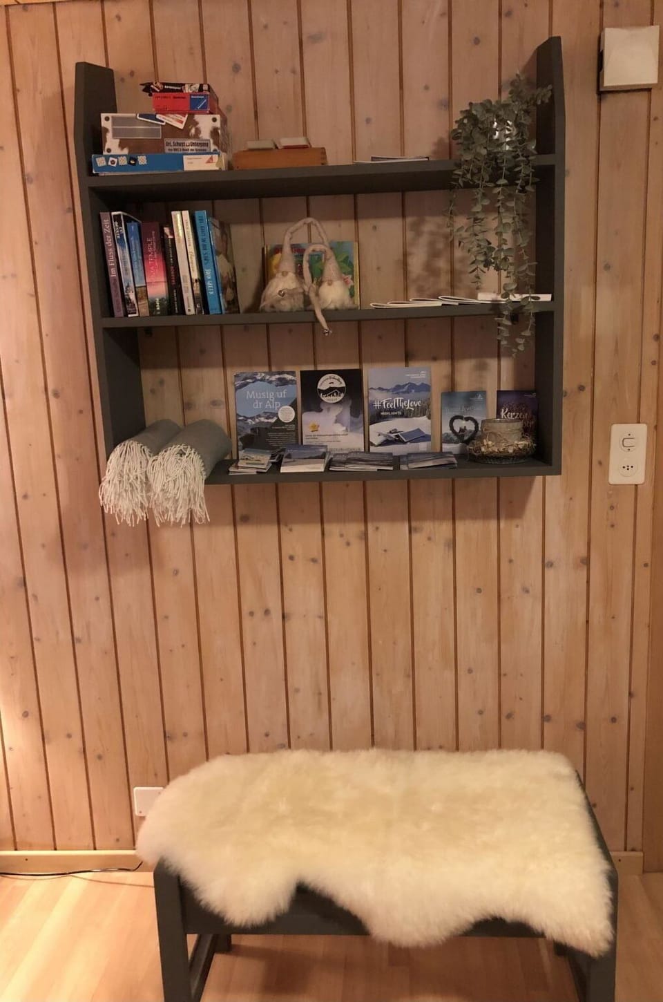 Shelf, Furniture, Wood, Interior Design, Comfort, Shelving, Flooring, Wood Stain, Floor, Bookcase