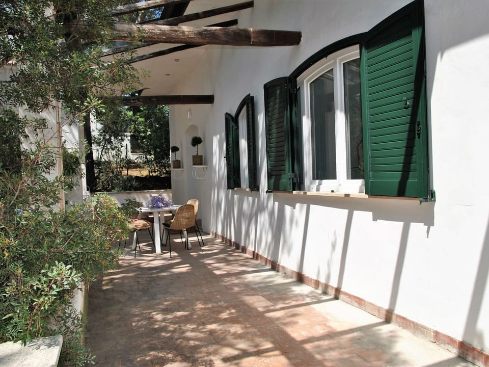 Building, Plant, Window, Shade, Interior Design, Wood, Real Estate, Chair, Tree, Facade