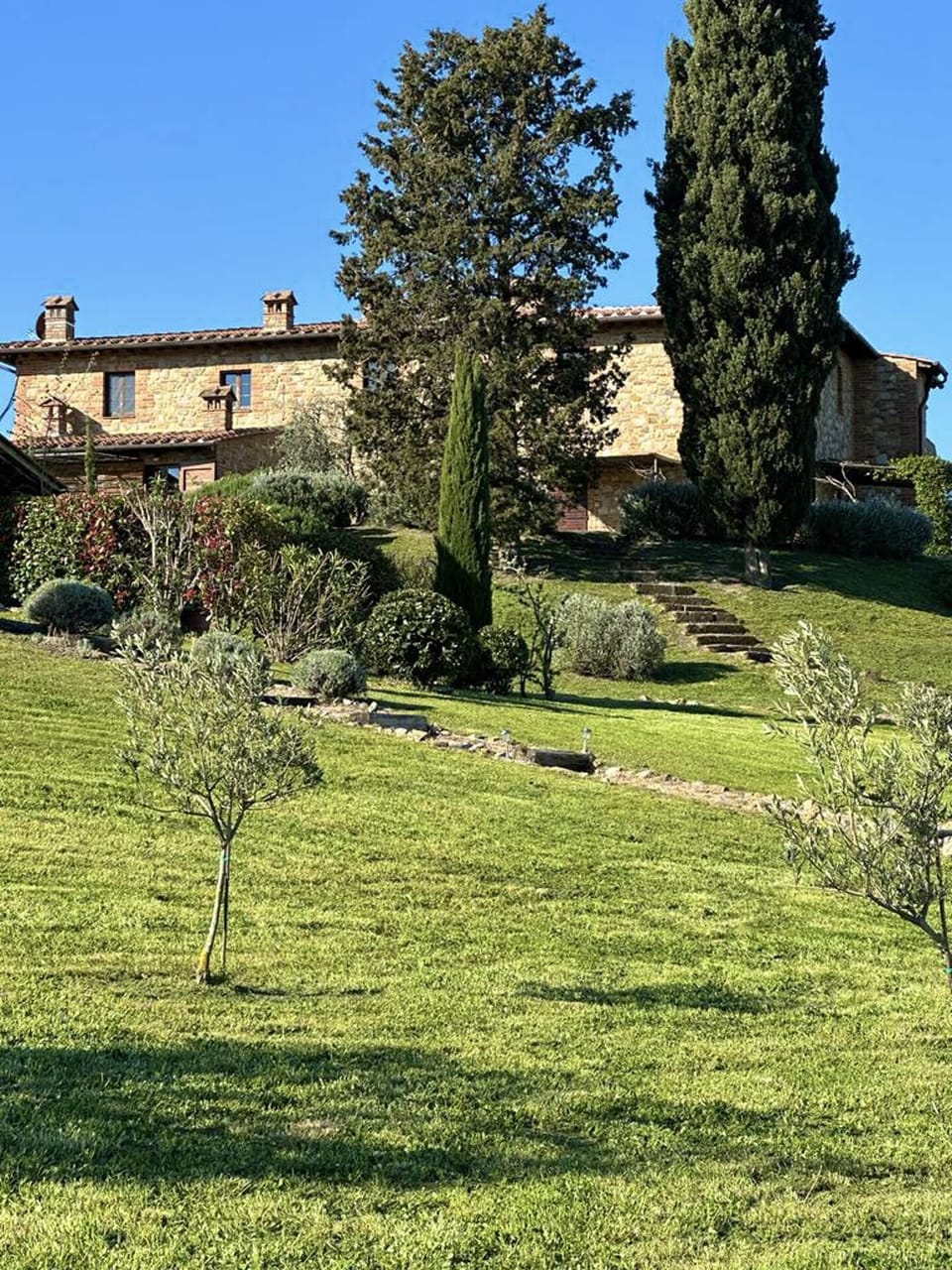 House | Property grounds