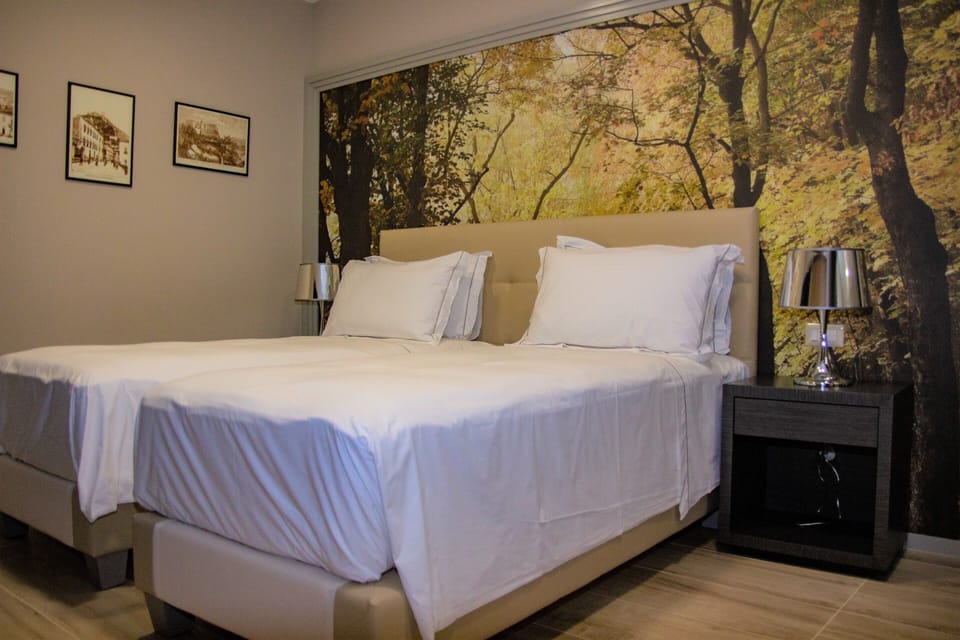 Superior Double or Twin Room | Premium bedding, down comforters, minibar, in-room safe